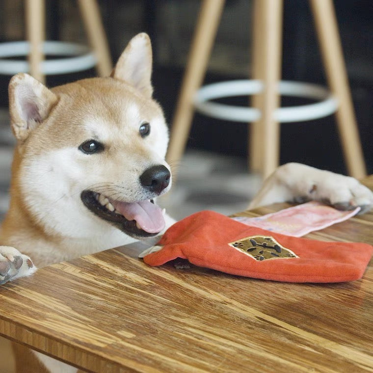 SmilePaw | Dog Toy - Red Packet