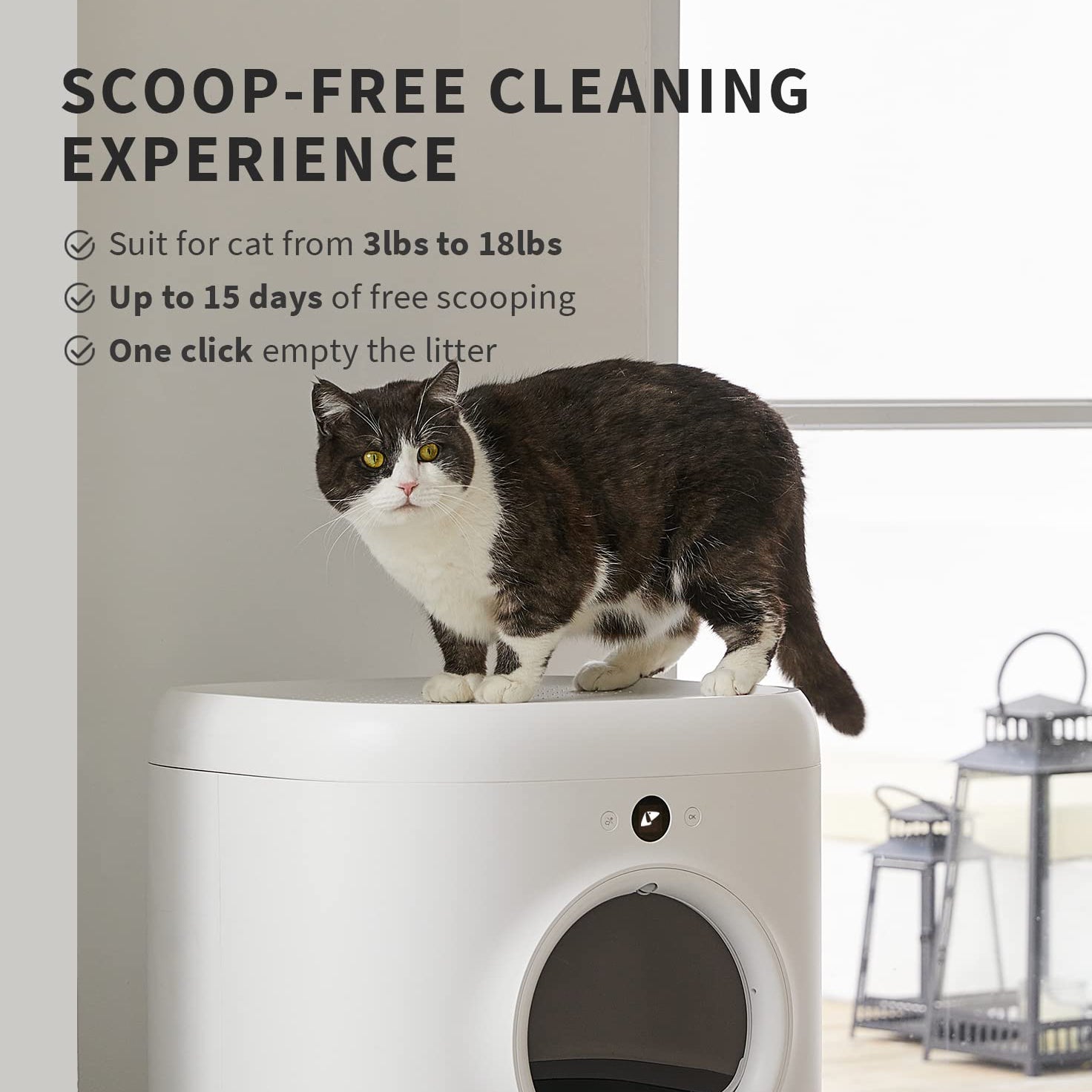 PETKIT | Self-Cleaning Cat Litter Box - Pura X (T3-Preorder)