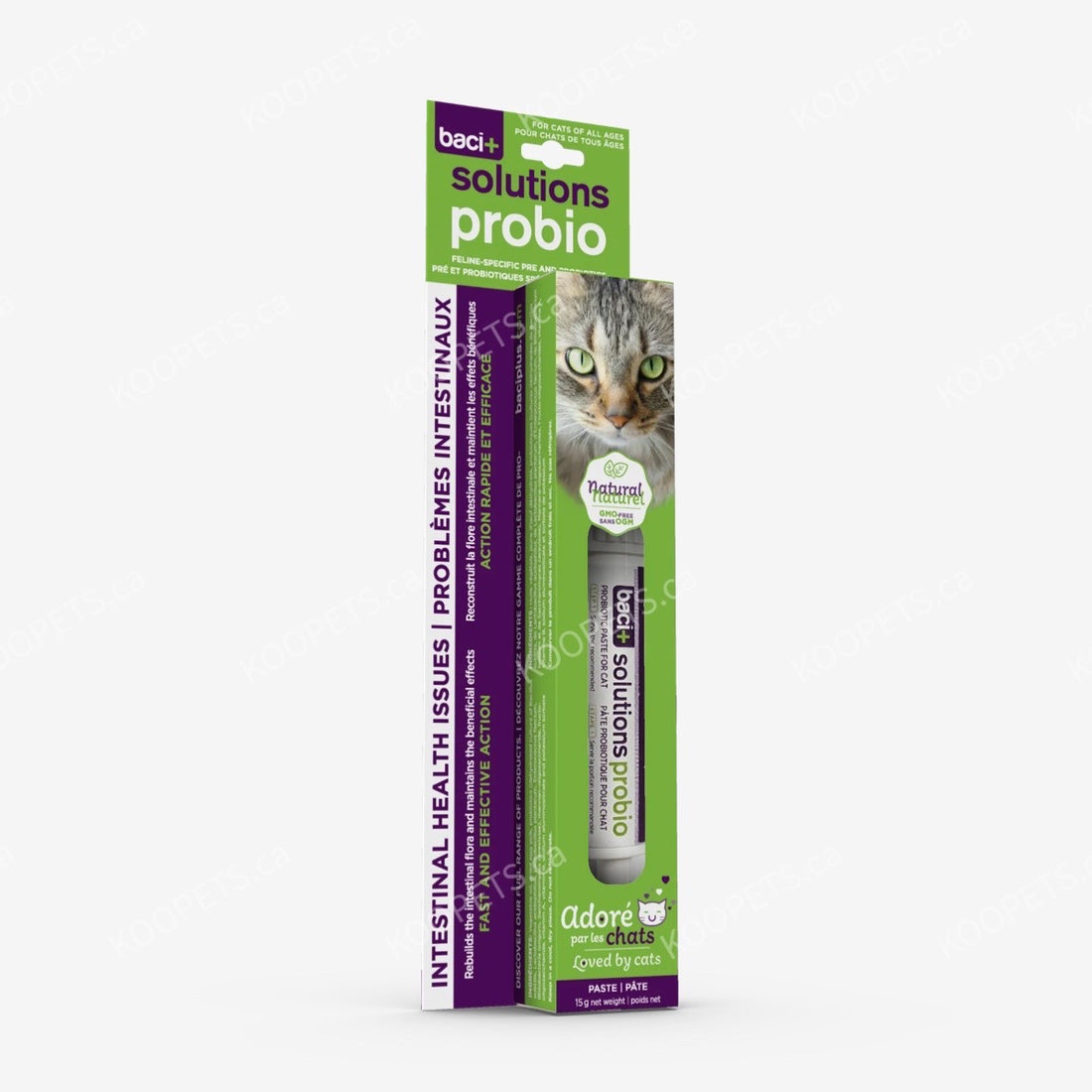Baci+ | Intestinal Problems - Solution Probio (Probiotic Paste)