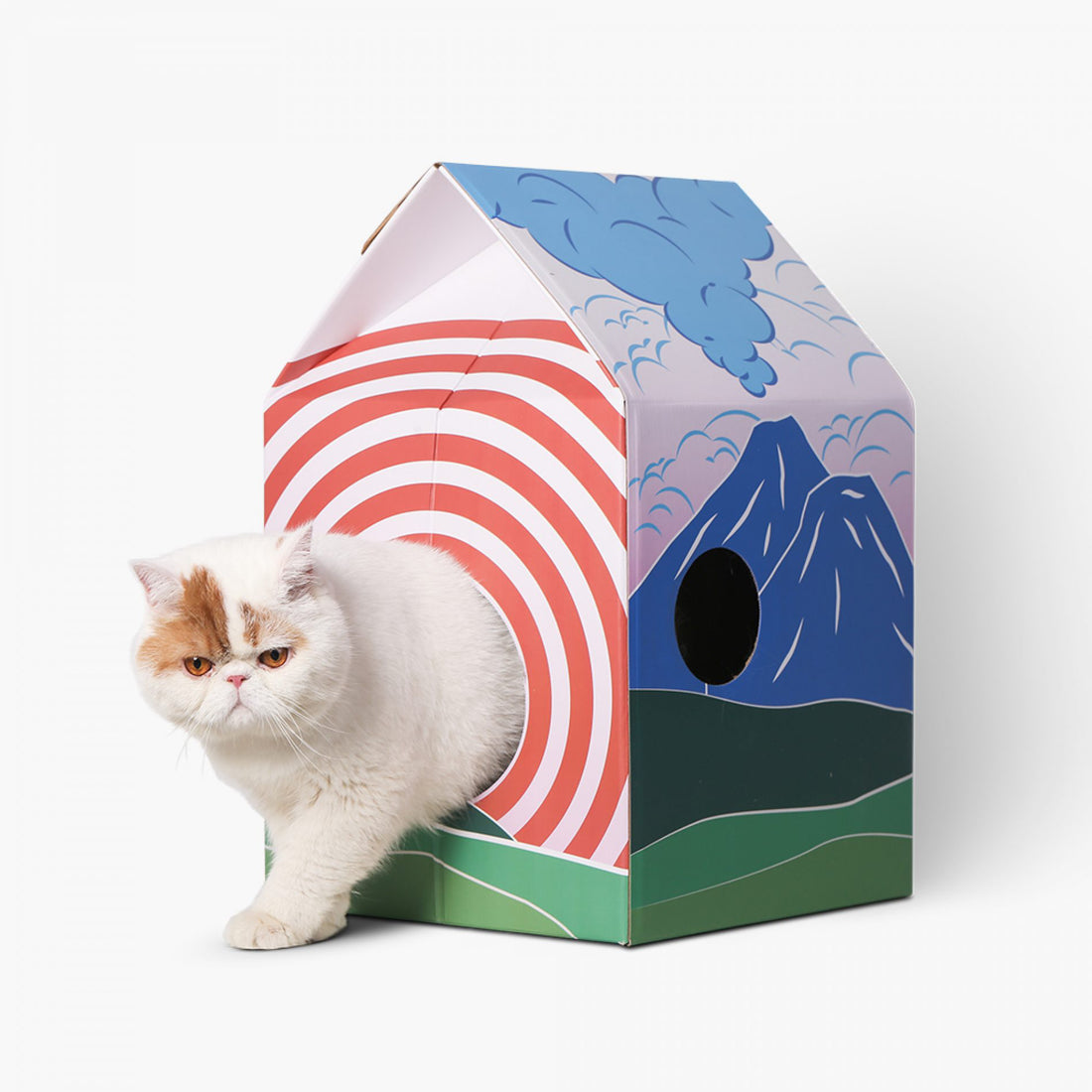 Pidan | Cat Scratcher House - Fuji