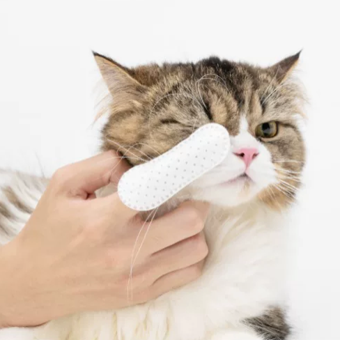 Pidan | Pet Cleaning Finger