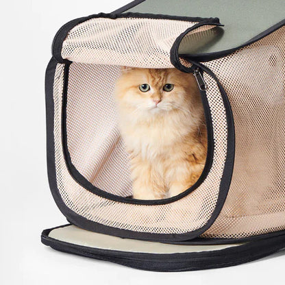 Pidan | Pet Backpack - Expanded and Closed Two Modes