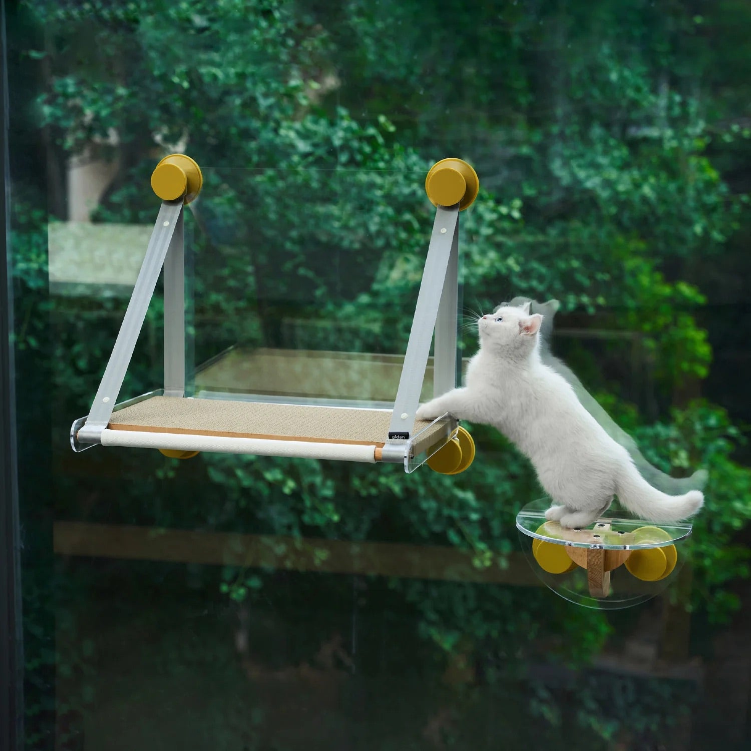 Pidan | Cat Window Perch Hammock 2.0