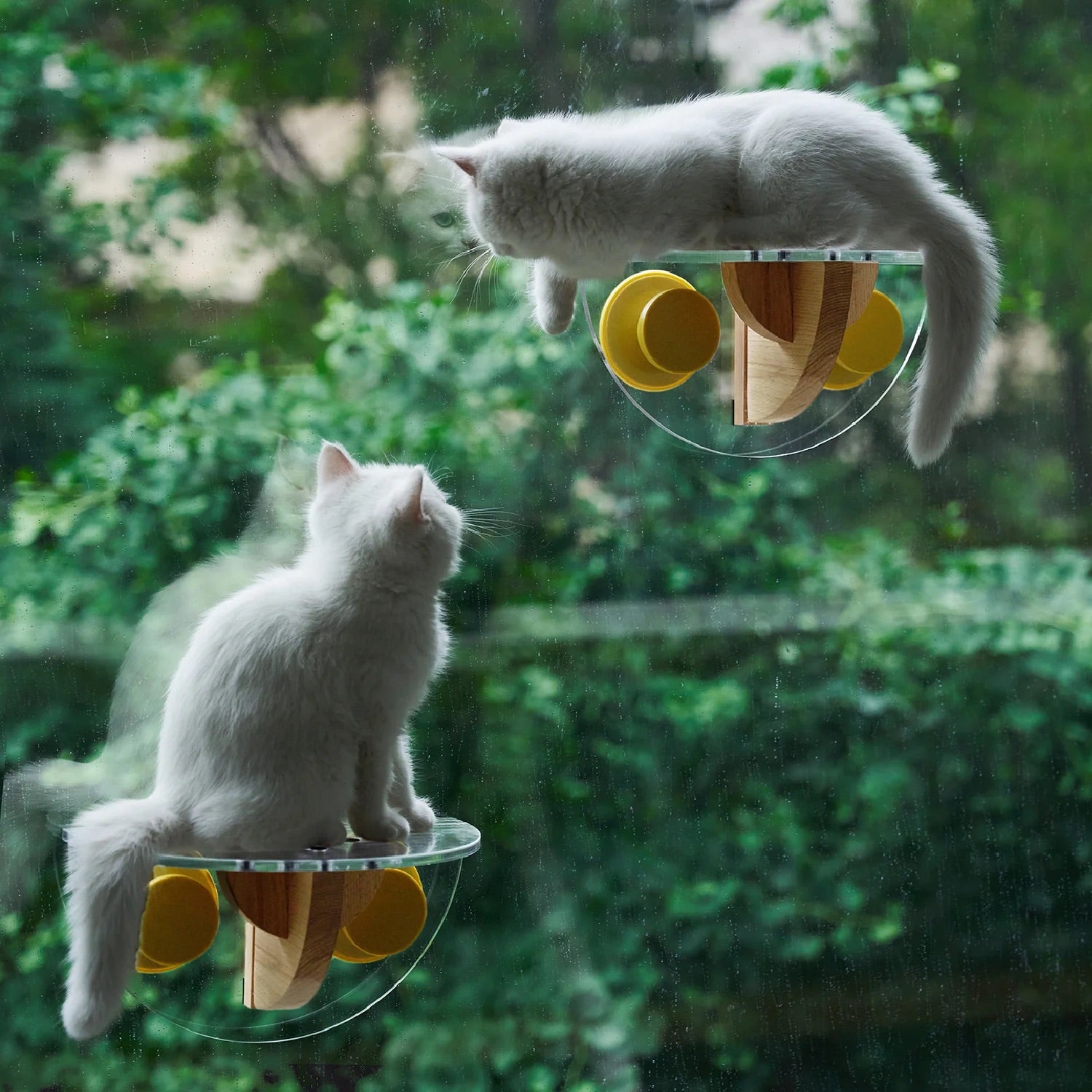 Pidan | Cat Window Acrylic Jumper