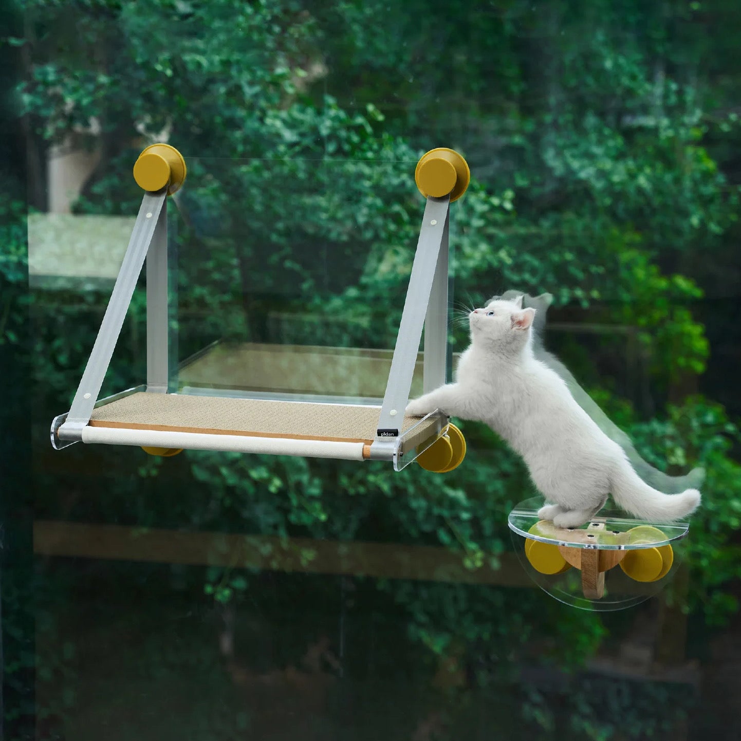 Pidan | Cat Window Acrylic Jumper