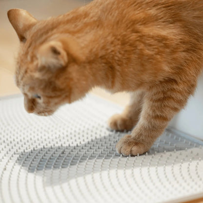 Pidan | 猫砂垫
